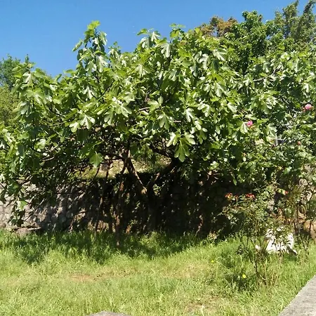 Apartment&room Guest house 3*