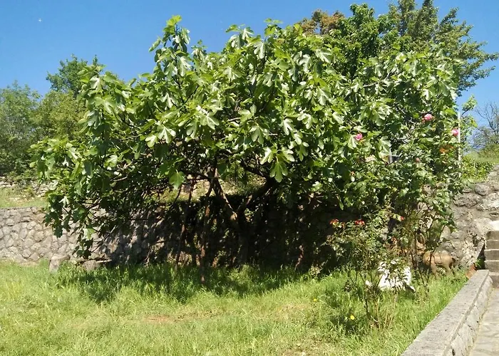 Apartment&room Pensjonat 3*